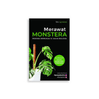 Image of Merawat monstera